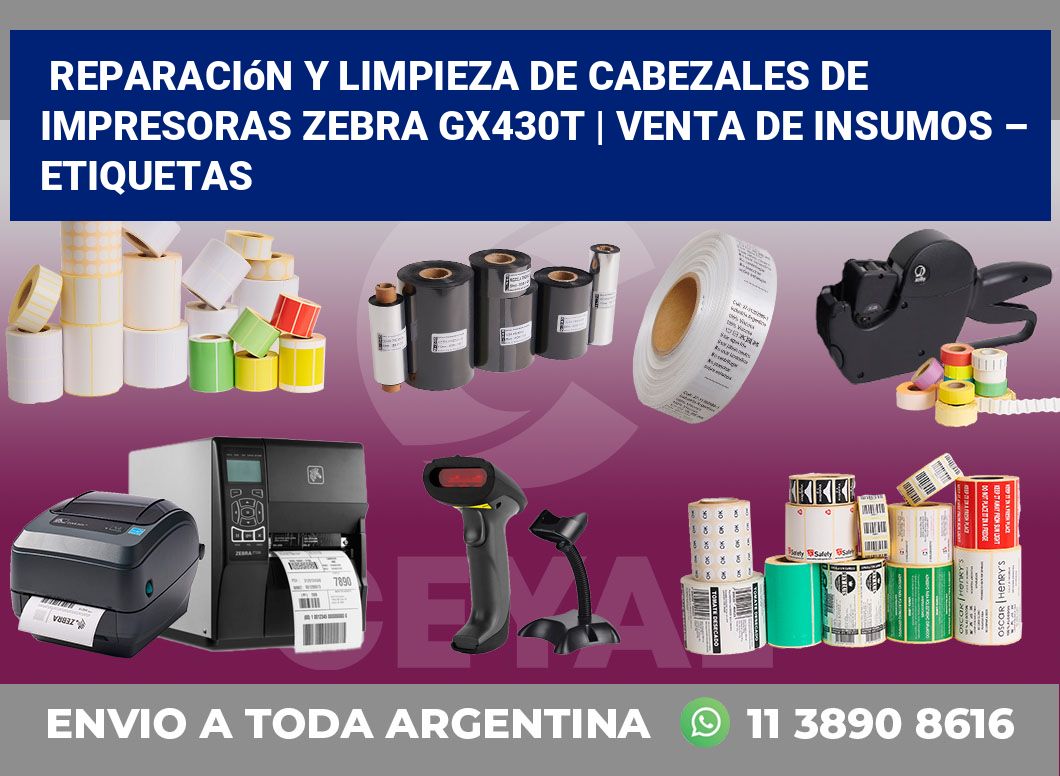 Reparación y limpieza de cabezales de impresoras Zebra GX430t | Venta de insumos – Etiquetas