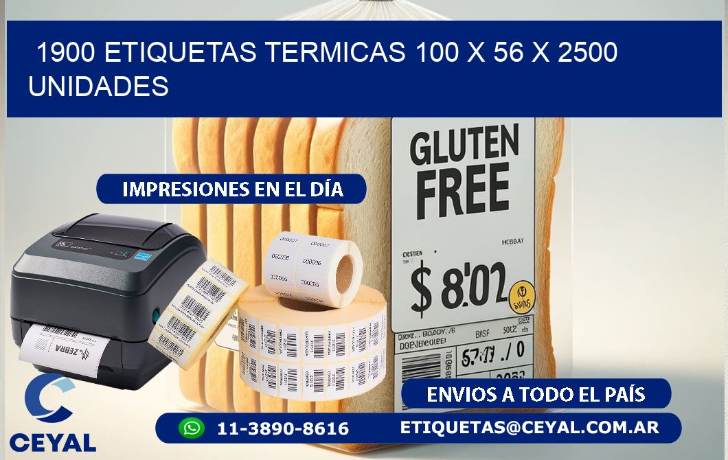 1900 ETIQUETAS TERMICAS 100 x 56 X 2500 UNIDADES